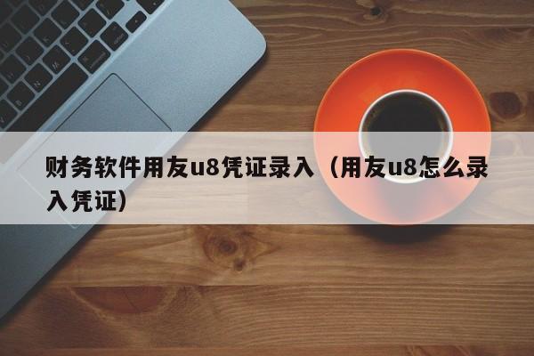 财务软件用友u8凭证录入（用友u8怎么录入凭证）