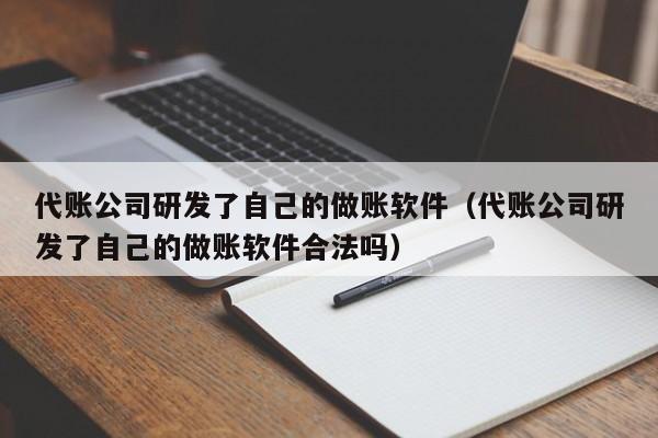 代账公司研发了自己的做账软件（代账公司研发了自己的做账软件合法吗）