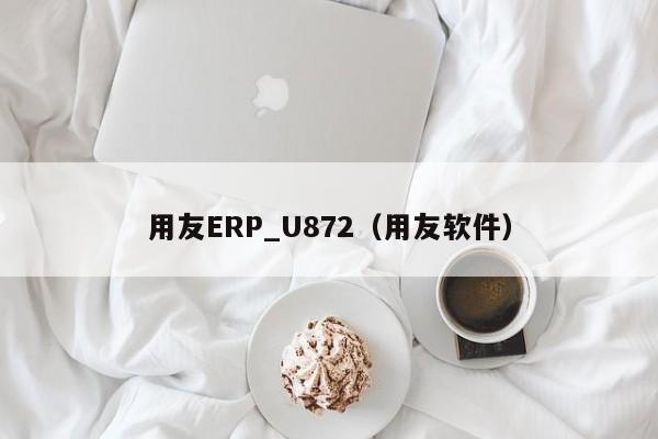 用友ERP_U872（用友软件）