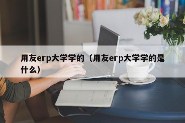 用友erp大学学的（用友erp大学学的是什么）