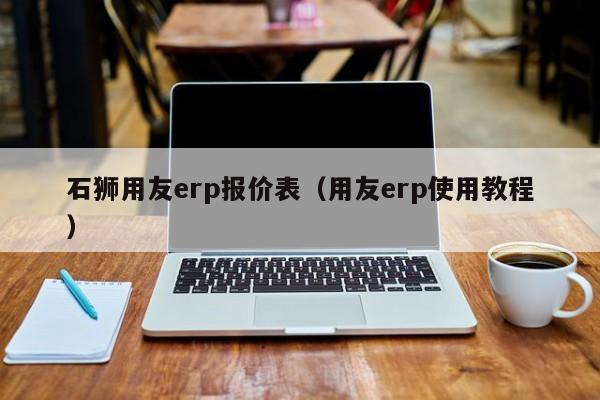 石狮用友erp报价表（用友erp使用教程）