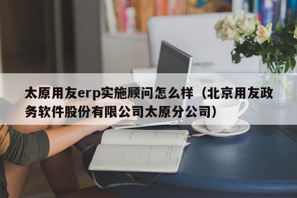 太原用友erp实施顾问怎么样（北京用友政务软件股份有限公司太原分公司）