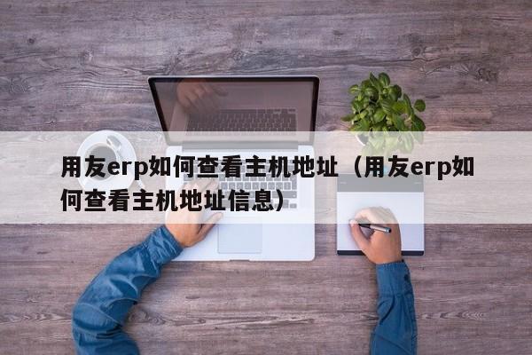 用友erp如何查看主机地址（用友erp如何查看主机地址信息）