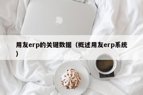 用友erp的关键数据（概述用友erp系统）