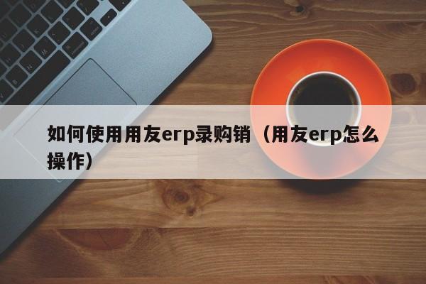 如何使用用友erp录购销（用友erp怎么操作）