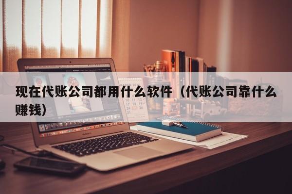 现在代账公司都用什么软件（代账公司靠什么赚钱）