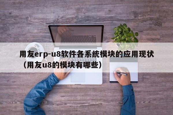 用友erp-u8软件各系统模块的应用现状（用友u8的模块有哪些）