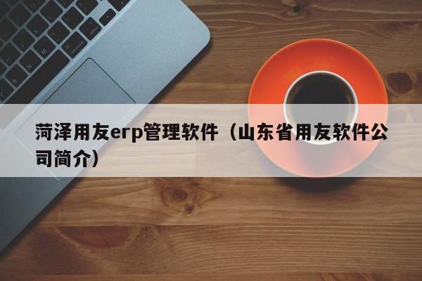 菏泽用友erp管理软件（山东省用友软件公司简介）