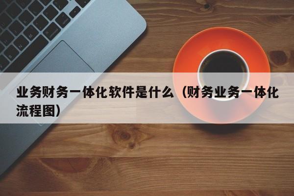 业务财务一体化软件是什么（财务业务一体化流程图）