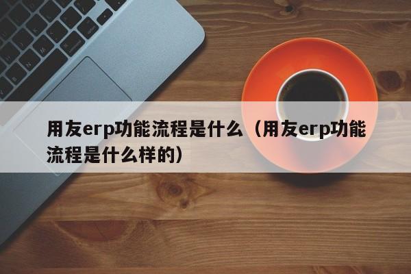 用友erp功能流程是什么（用友erp功能流程是什么样的）