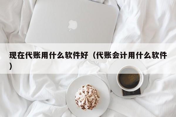 现在代账用什么软件好（代账会计用什么软件）