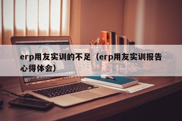 erp用友实训的不足（erp用友实训报告心得体会）