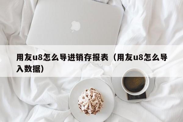 用友u8怎么导进销存报表（用友u8怎么导入数据）