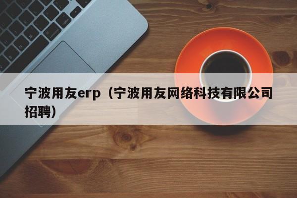 宁波用友erp（宁波用友网络科技有限公司招聘）