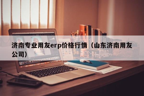 济南专业用友erp价格行情（山东济南用友公司）