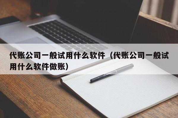 代账公司一般试用什么软件（代账公司一般试用什么软件做账）