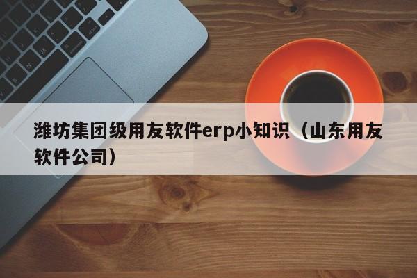 潍坊集团级用友软件erp小知识（山东用友软件公司）