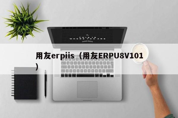 用友erpiis（用友ERPU8V101）