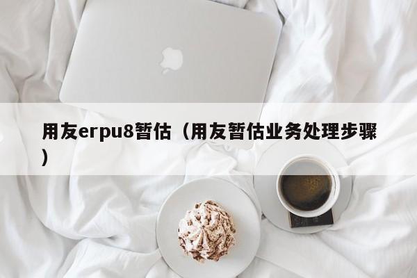 用友erpu8暂估（用友暂估业务处理步骤）