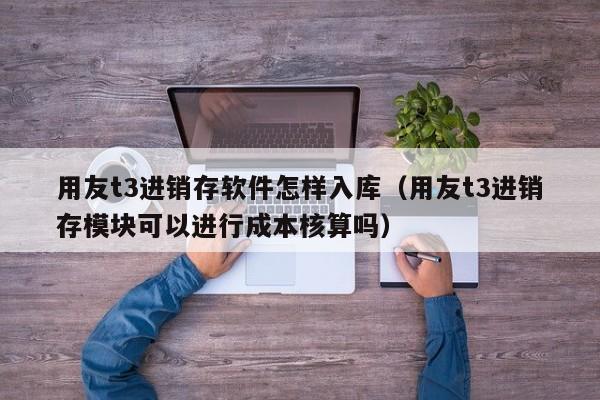 用友t3进销存软件怎样入库（用友t3进销存模块可以进行成本核算吗）