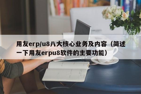 用友erp/u8八大核心业务及内容（简述一下用友erpu8软件的主要功能）