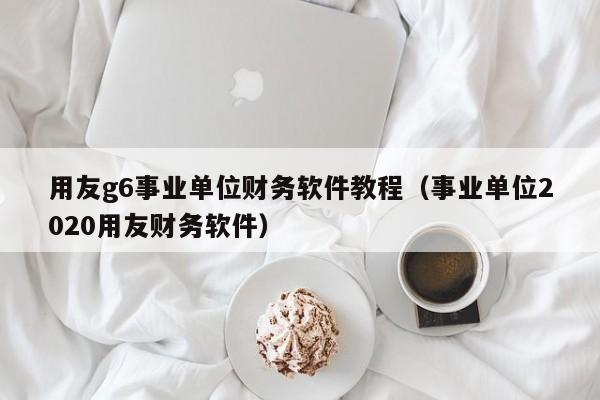 用友g6事业单位财务软件教程（事业单位2020用友财务软件）