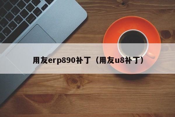 用友erp890补丁（用友u8补丁）