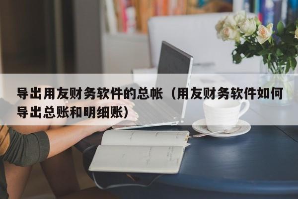 导出用友财务软件的总帐（用友财务软件如何导出总账和明细账）