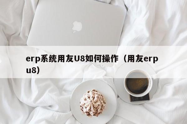 erp系统用友U8如何操作（用友erp u8）