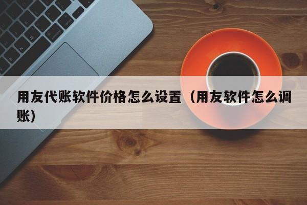 用友代账软件价格怎么设置（用友软件怎么调账）