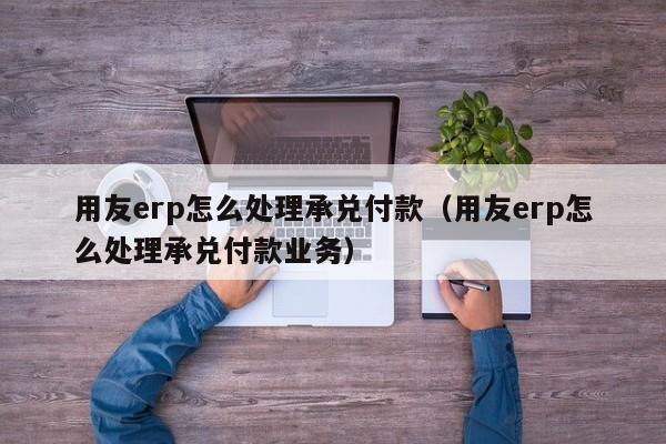 用友erp怎么处理承兑付款（用友erp怎么处理承兑付款业务）