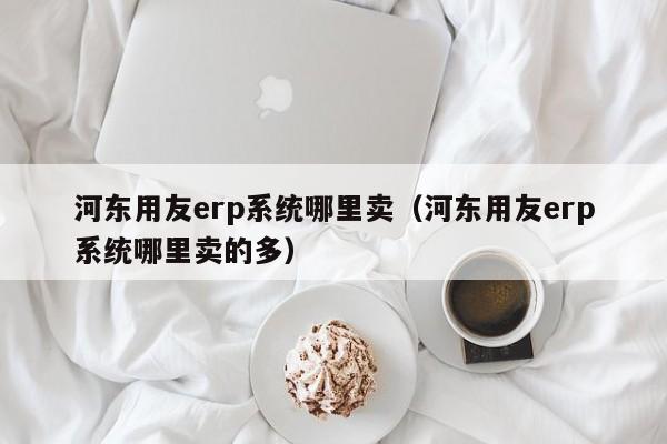 河东用友erp系统哪里卖（河东用友erp系统哪里卖的多）