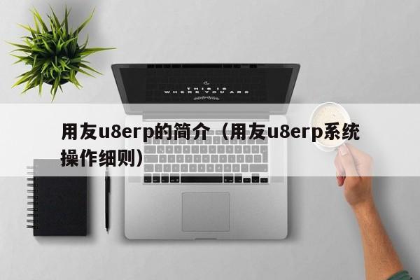 用友u8erp的简介（用友u8erp系统操作细则）