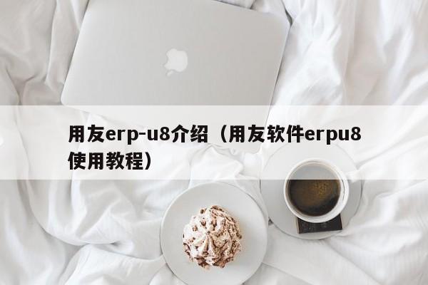 用友erp-u8介绍（用友软件erpu8使用教程）