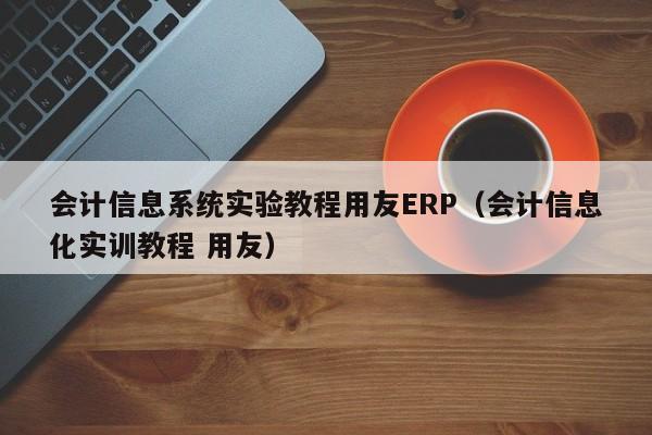 会计信息系统实验教程用友ERP（会计信息化实训教程 用友）