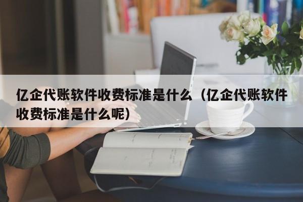 亿企代账软件收费标准是什么（亿企代账软件收费标准是什么呢）