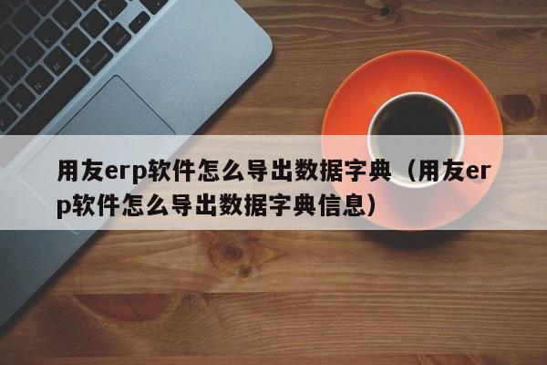 用友erp软件怎么导出数据字典（用友erp软件怎么导出数据字典信息）