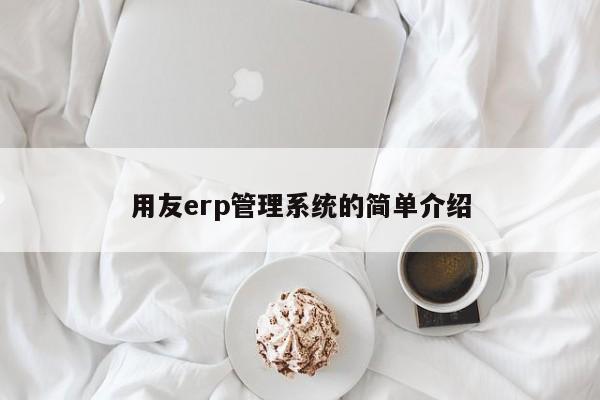 用友erp管理系统的简单介绍