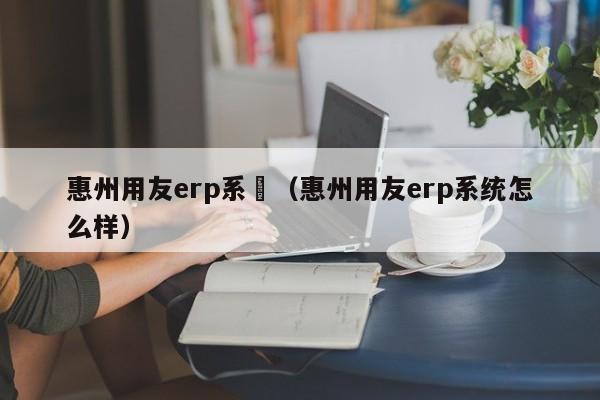 惠州用友erp系統（惠州用友erp系统怎么样）