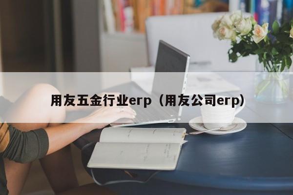 用友五金行业erp（用友公司erp）