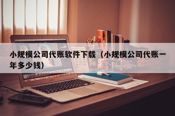 小规模公司代账软件下载（小规模公司代账一年多少钱）