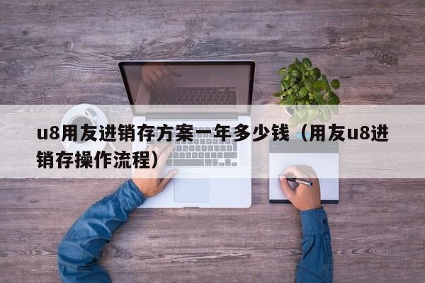 u8用友进销存方案一年多少钱（用友u8进销存操作流程）