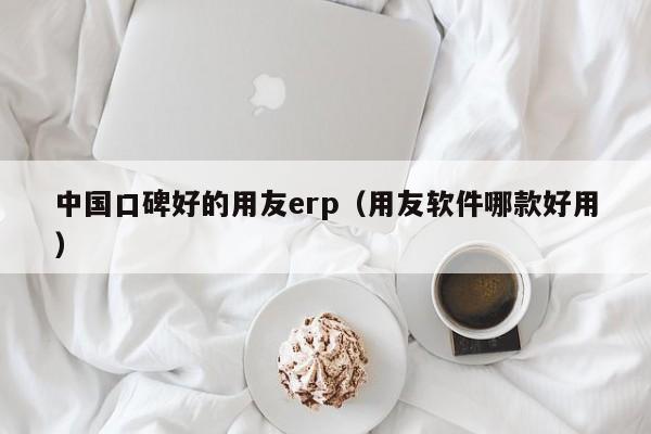 中国口碑好的用友erp（用友软件哪款好用）