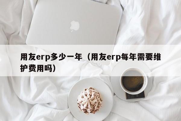 用友erp多少一年（用友erp每年需要维护费用吗）