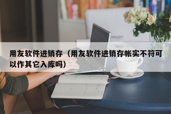 用友软件进销存（用友软件进销存帐实不符可以作其它入库吗）