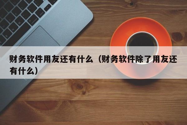 财务软件用友还有什么（财务软件除了用友还有什么）