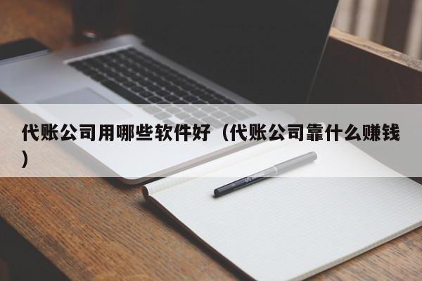 代账公司用哪些软件好（代账公司靠什么赚钱）