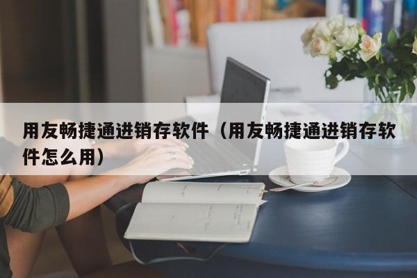 用友畅捷通进销存软件（用友畅捷通进销存软件怎么用）