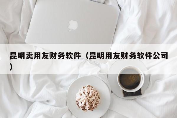 昆明卖用友财务软件（昆明用友财务软件公司）