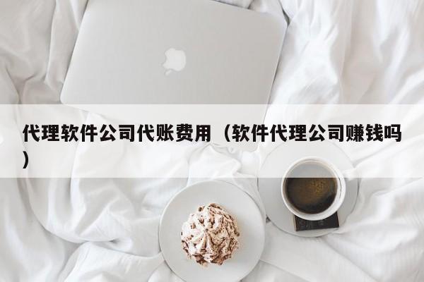 代理软件公司代账费用（软件代理公司赚钱吗）